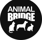 Animal Bridge